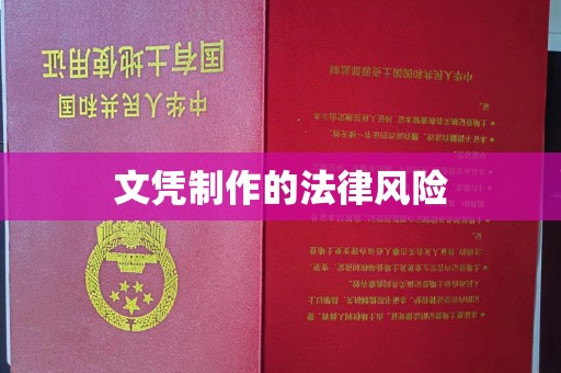 融水文凭制作的法律风险